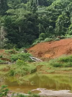 Guyana tailings 