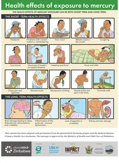 Health Effects of Exposure to Mercury