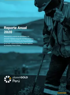 Informe anual 2020