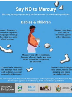 Say No to Mercury