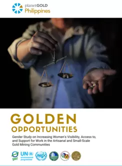 Golden Opportunity Cover 1B