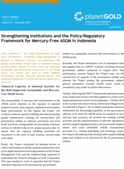 Strengthening Institutions and the Policy/Regulatory Framework for Mercury-Free ASGM in Indonesia