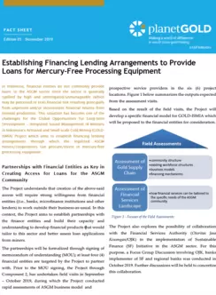 Establishing Financing Lending Arrangements to Provide Loans for Mercury-Free Processing Equipment