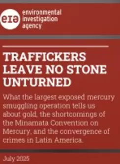 Traffickers leave no stone unturned