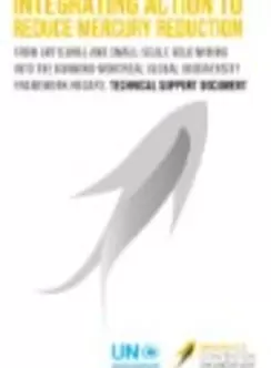 Integrating action to reduce mercury pollution from artisanal and small-scale gold mining into the Kunming-Montréal Global Biodiversity Framework National Biodiversity Strategies and Action Plans: Technical Support Document