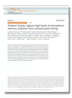 Amazon forests capture high levels of atmospheric mercury pollution from artisanal gold mining