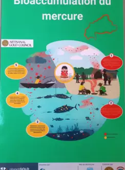 Burkina Faso bioaccumulation poster 