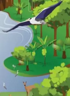 birds and wild faune drawing