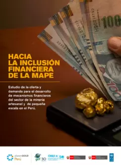 Hacia la inclusión financiera de la MAPE