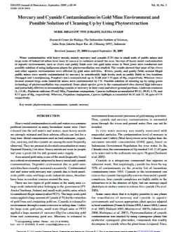 report cover