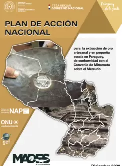 Paraguay NAP