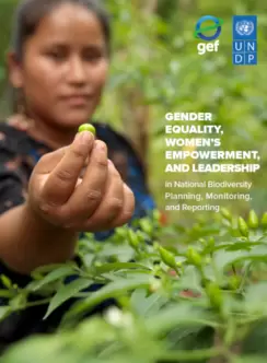 UNDP Gender equality report