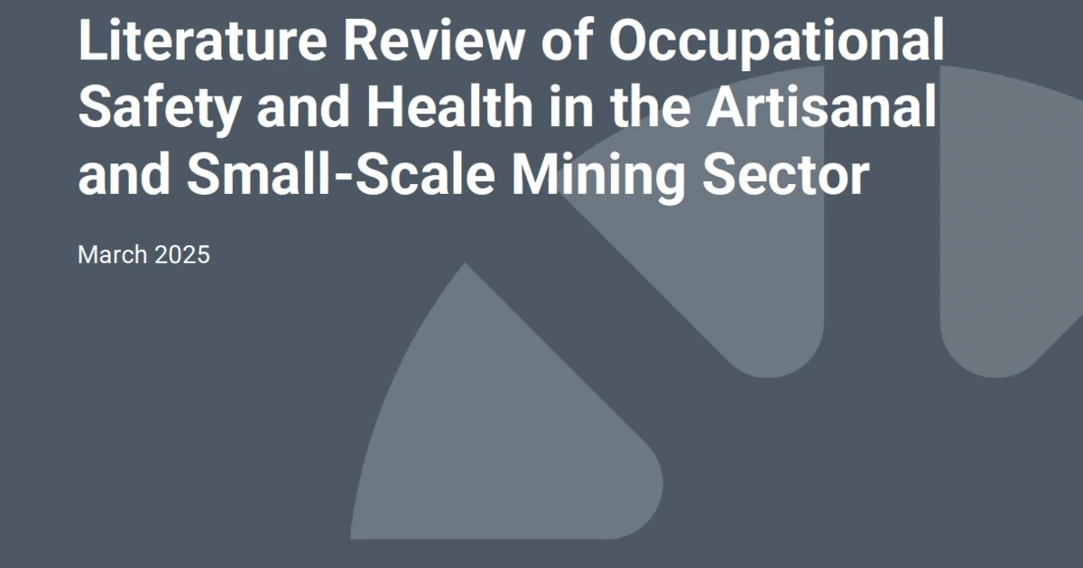Literature Review of Occupational Safety and Health in the Artisanal ...