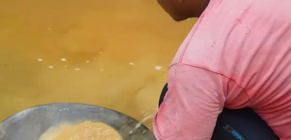 Guyana miner with pan