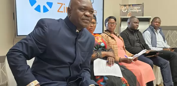 artisanal and small-scale gold miners in a panel discussion