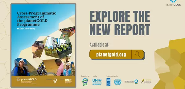 Cover of report