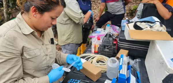 Ecuador camina hacia una minería artesanal y de pequeña escala libre de mercurio