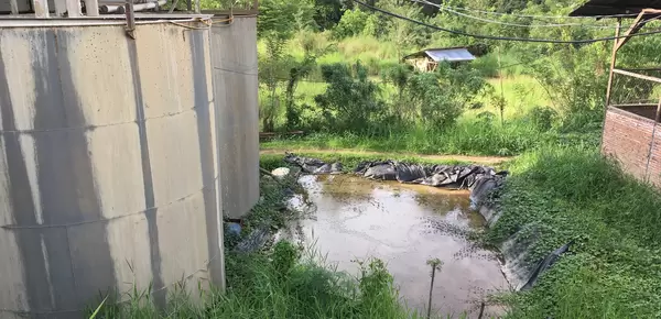 cyanide tank