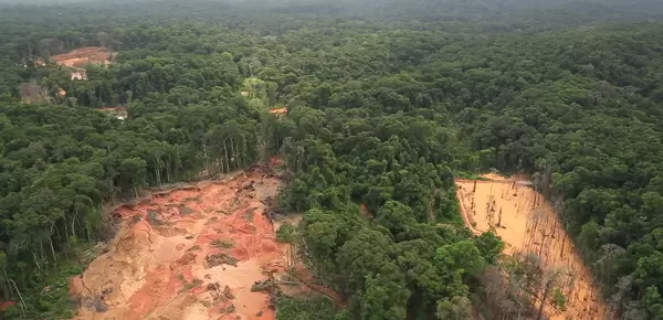 Partially mined out land in Guyana