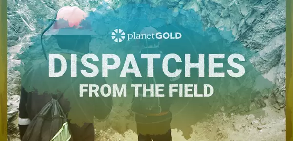 Dispatches from the Field cover image