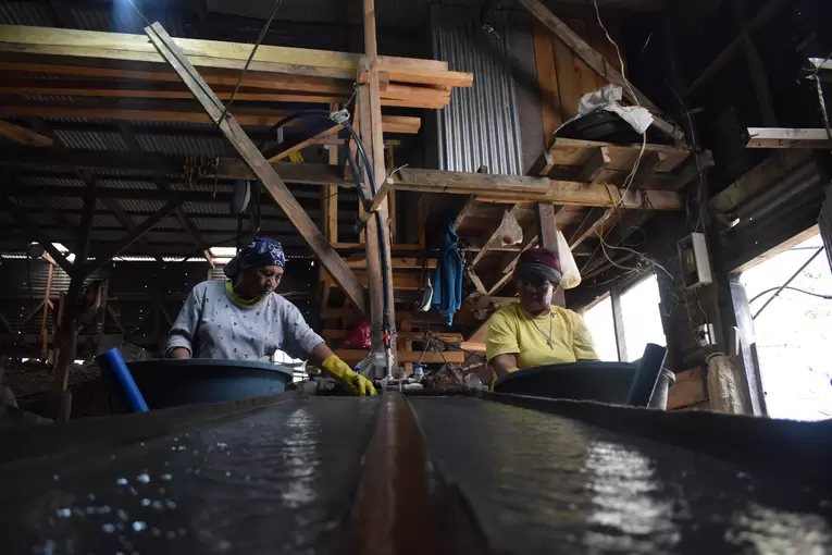 Women at informal sites perform mineral processing which often includes crushing, grinding of ore using a ball mill, gold sluicing, panning, and hand-sorting ore from the mining operation's wastes. 