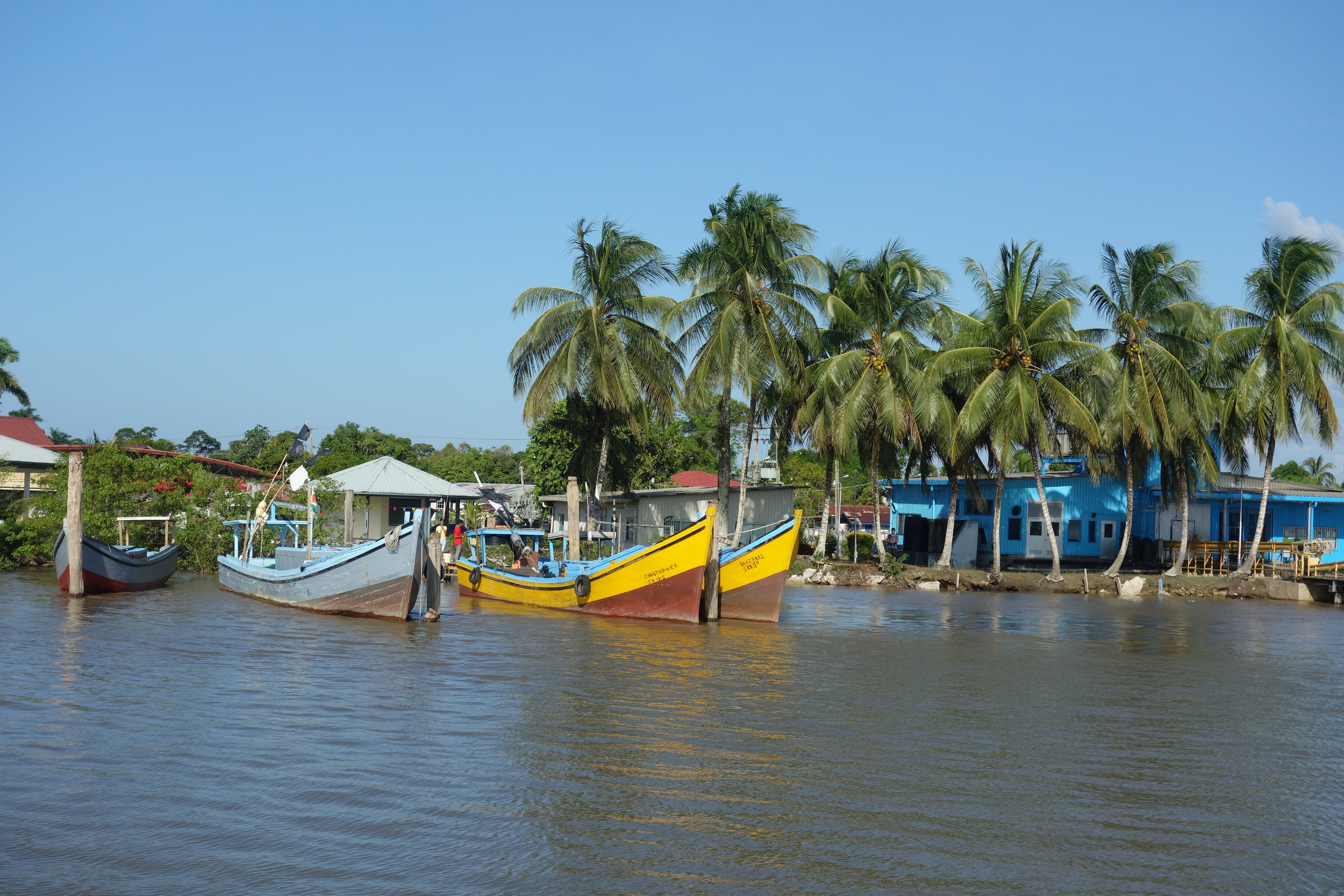 Suriname landscape 